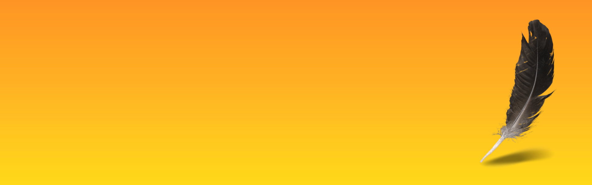 feather on orange background