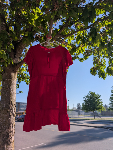A red dress hangs in a tree. There is a school in the background. 