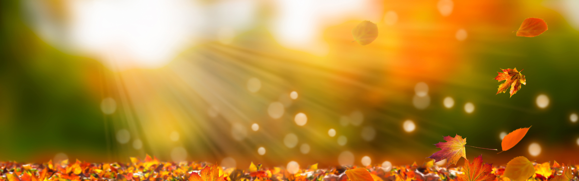 fall landscape