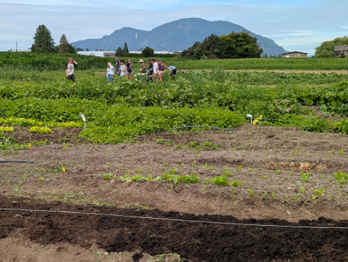 A group of young people stand in a vegetable field. 